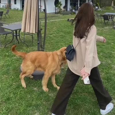 大师的头脑