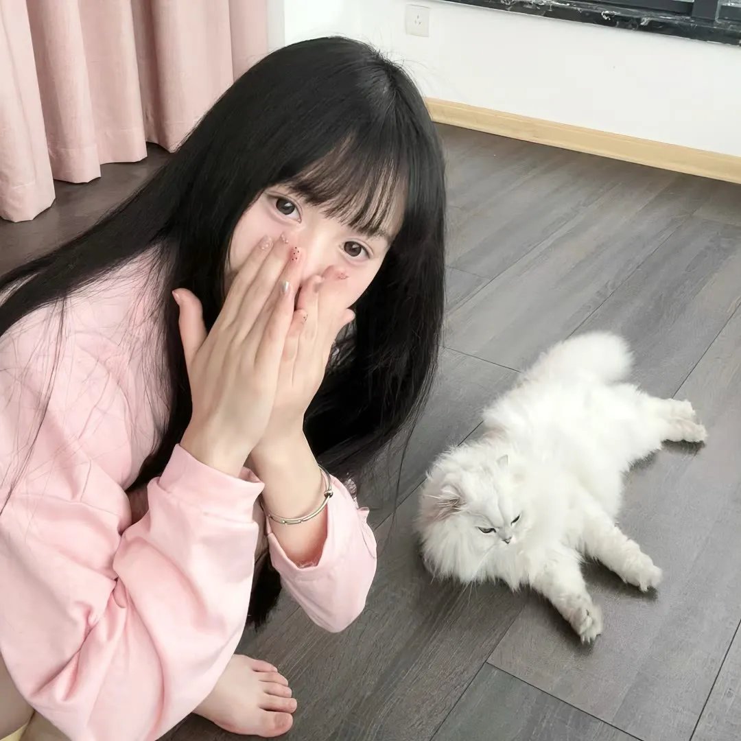 乌龙特工